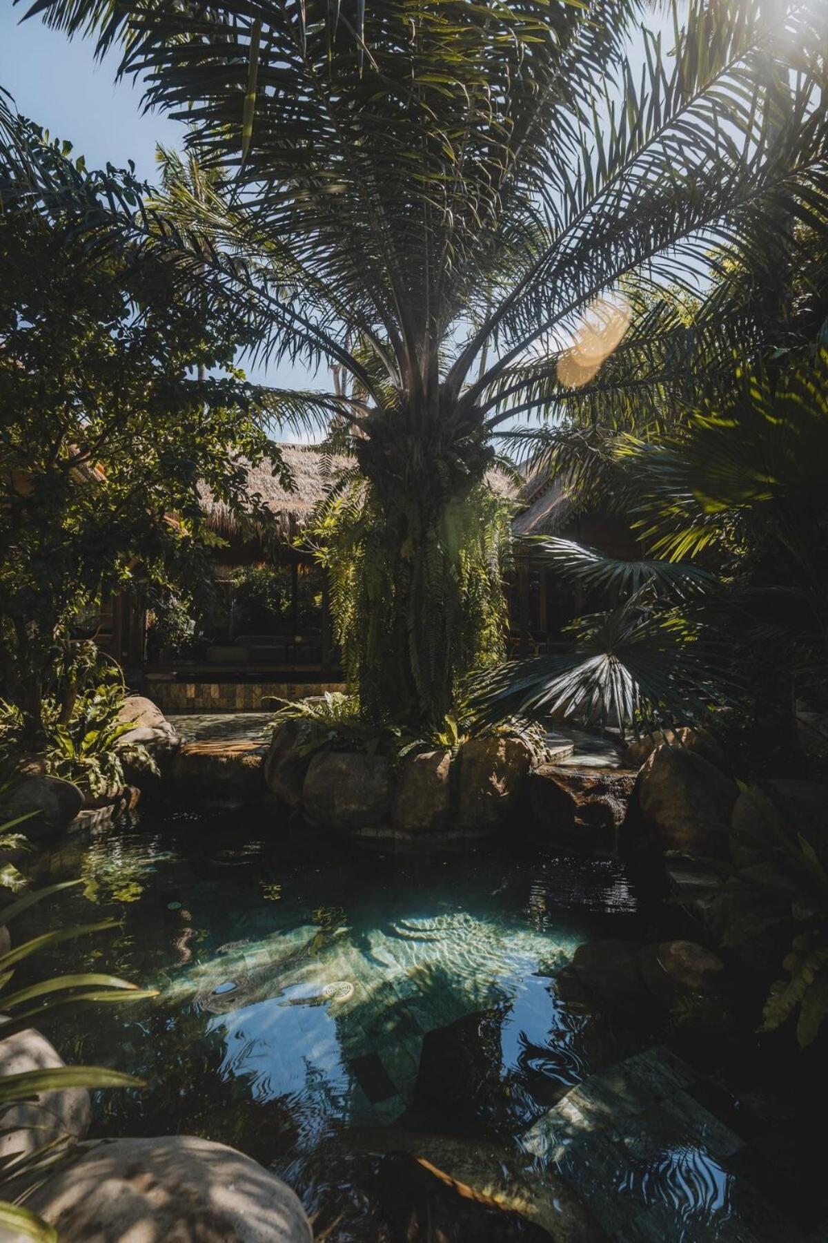 The Seed Bali - Private 8 Bedroom Estate Candidasa Zewnętrze zdjęcie